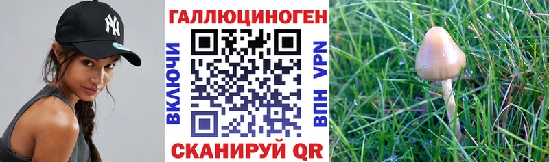 ОМГ ОМГ ссылки Гуково Псилоцибиновые грибы MAGIC MUSHROOMS купить цена