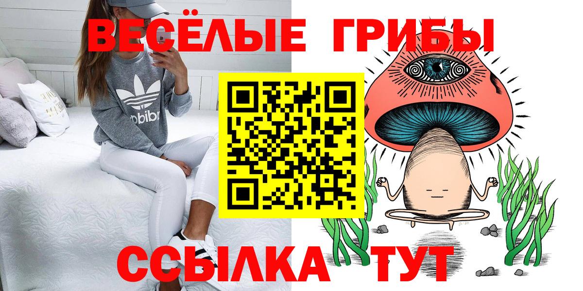 Гуково  Псилоцибиновые грибы мухоморы  Псилоцибиновые грибы Psilocybine cubensis  Вход с VPN 
