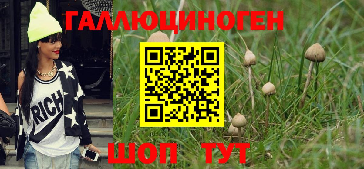 Псилоцибиновые грибы мухоморы Гуково